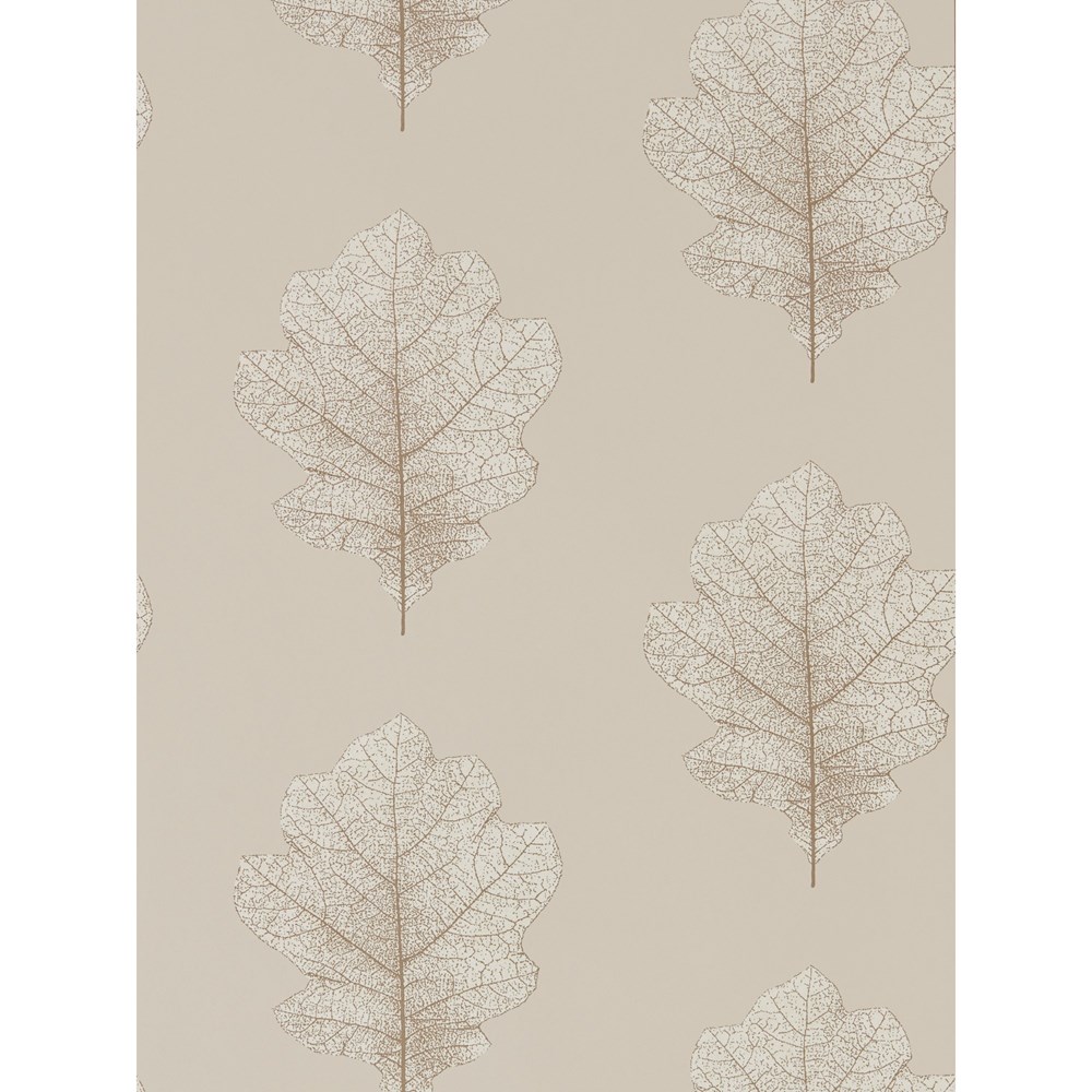 Oak Filigree Wallpaper 215698 by Sanderson in Stone Gilver